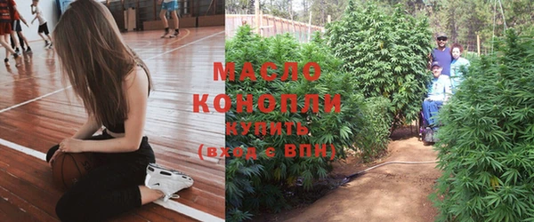 прущие крисы Горняк