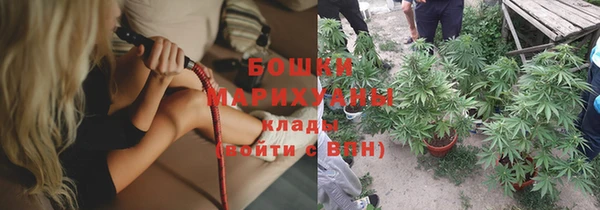 прущие крисы Горняк
