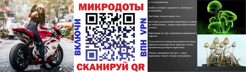 Купить где  Калач  Псилоцибиновые грибы Psilocybine cubensis 